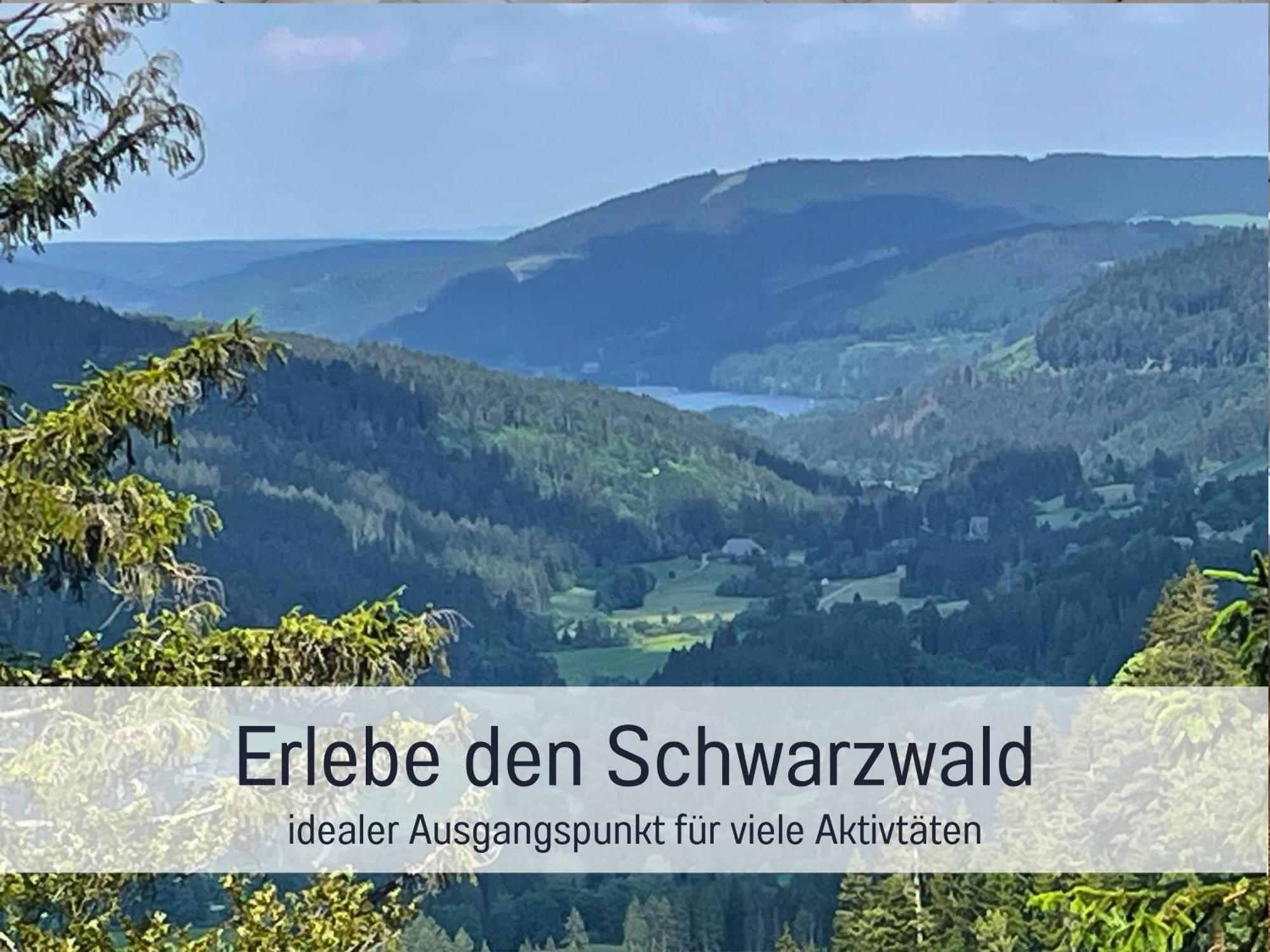 Ferienwohnungen Auszeit Langmatt Sulzburg Dış mekan fotoğraf