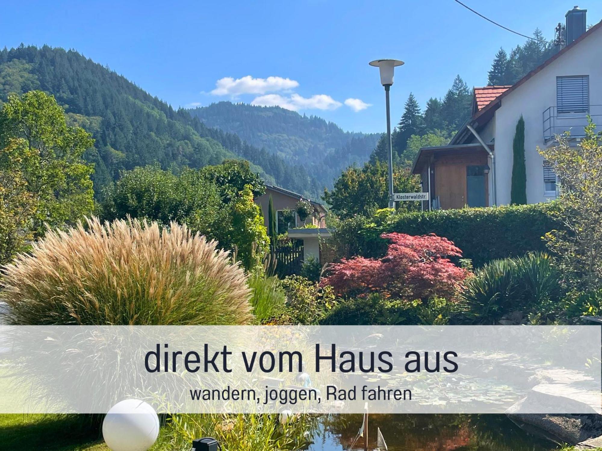 Ferienwohnungen Auszeit Langmatt Sulzburg Dış mekan fotoğraf