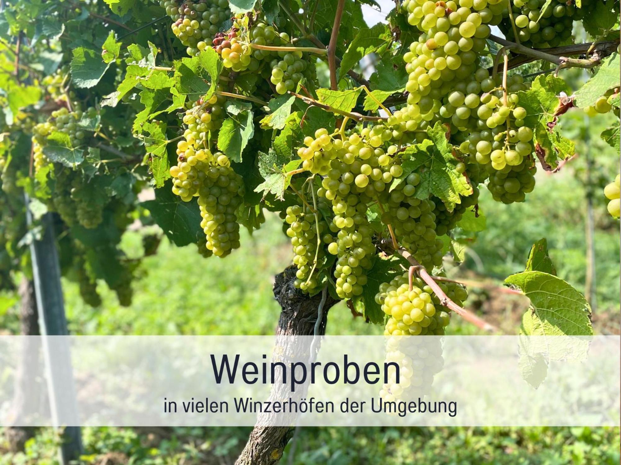 Ferienwohnungen Auszeit Langmatt Sulzburg Dış mekan fotoğraf