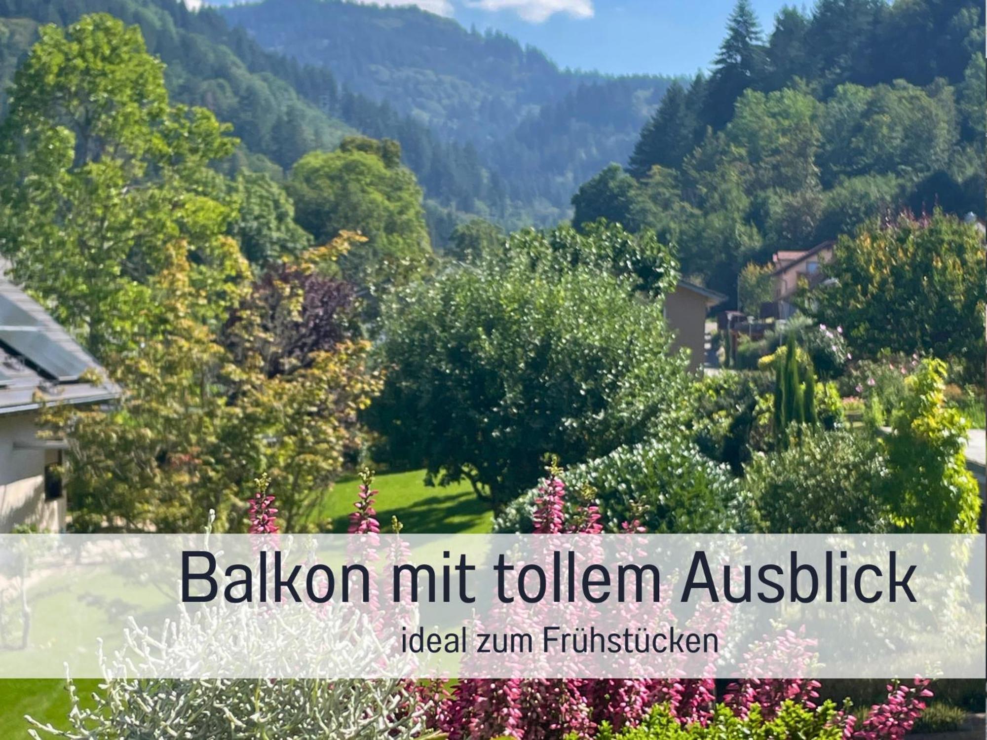 Ferienwohnungen Auszeit Langmatt Sulzburg Dış mekan fotoğraf